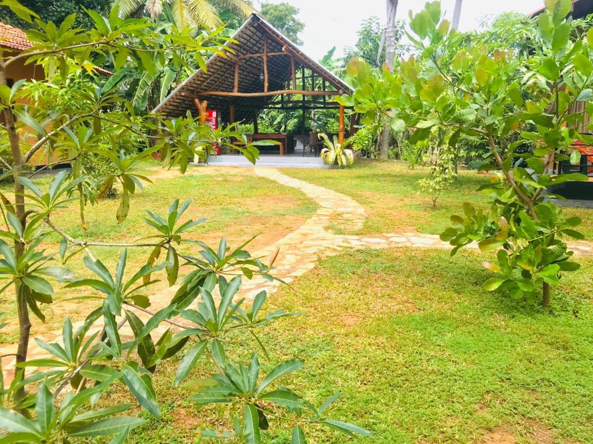 Гостевой дом Mango Tree House Удавалаве