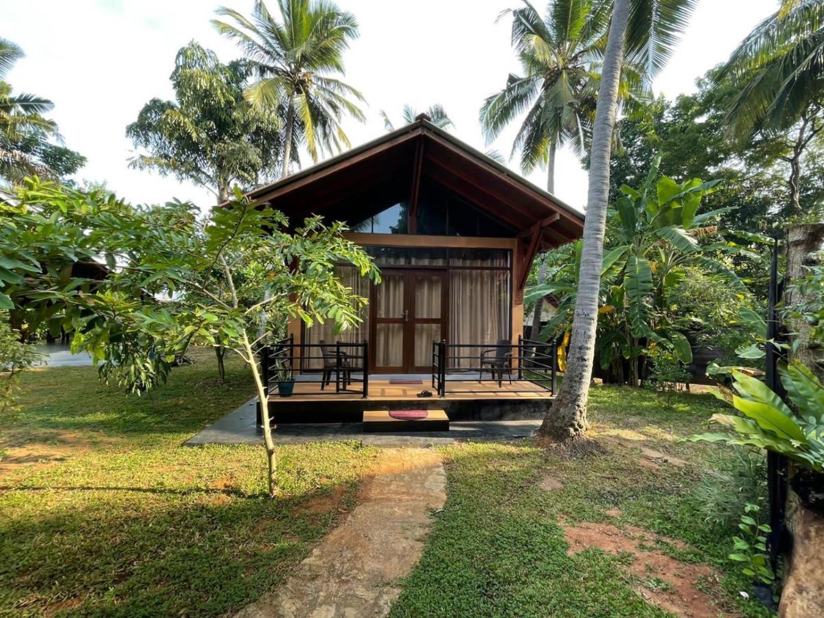 Гостевой дом Mango Tree House 3*